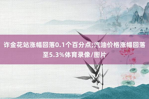 诈金花站涨幅回落0.1个百分点;汽油价格涨幅回落至5.3%体育录像/图片