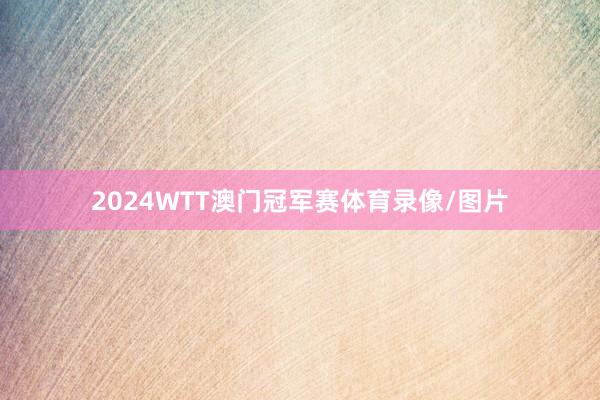 2024WTT澳门冠军赛体育录像/图片