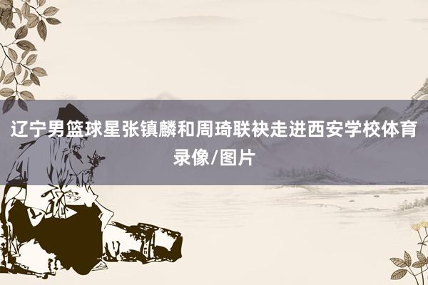 辽宁男篮球星张镇麟和周琦联袂走进西安学校体育录像/图片