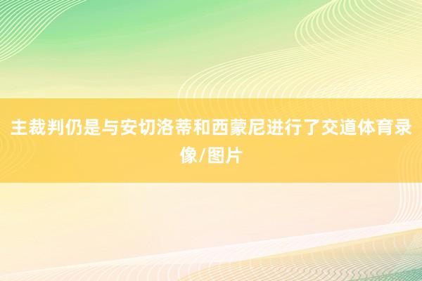 主裁判仍是与安切洛蒂和西蒙尼进行了交道体育录像/图片