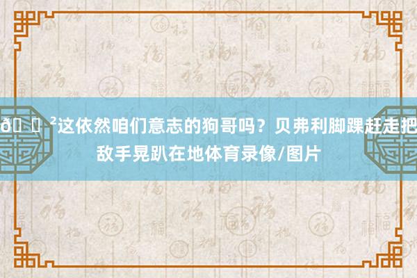 😲这依然咱们意志的狗哥吗？贝弗利脚踝赶走把敌手晃趴在地体育录像/图片